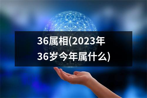 36属相(2023年36岁今年属什么)