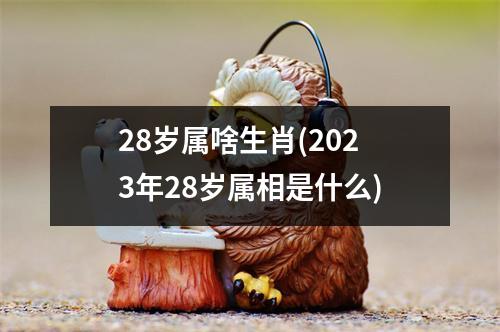 28岁属啥生肖(2023年28岁属相是什么)