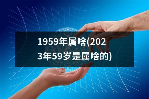 1959年属啥(2023年59岁是属啥的)