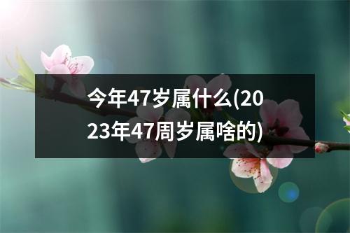 今年47岁属什么(2023年47周岁属啥的)