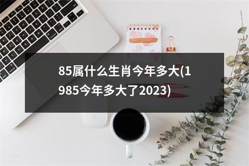 85属什么生肖今年多大(1985今年多大了2023)