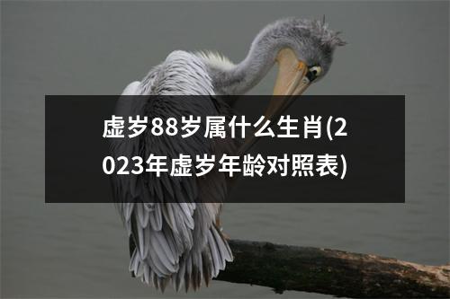 虚岁88岁属什么生肖(2023年虚岁年龄对照表)