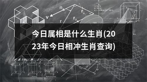 今日属相是什么生肖(2023年今日相冲生肖查询)