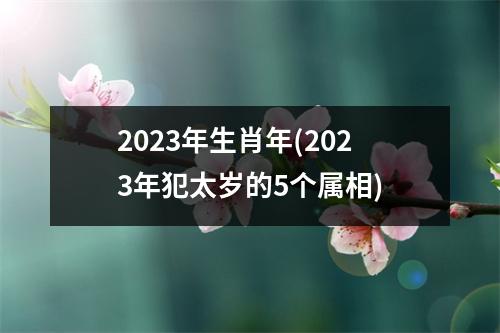 2023年生肖年(2023年犯太岁的5个属相)