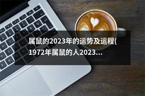 属鼠的2023年的运势及运程(1972年属鼠的人2023年运势及运程)