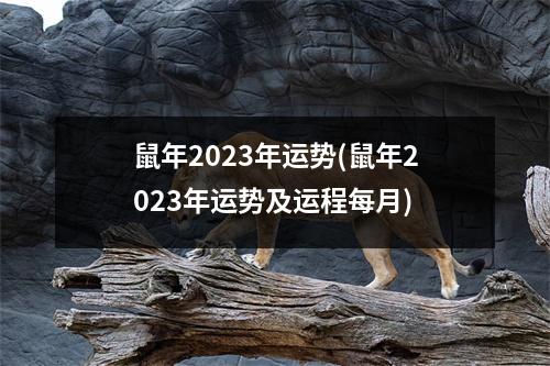 鼠年2023年运势(鼠年2023年运势及运程每月)