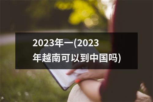 2023年一(2023年越南可以到吗)