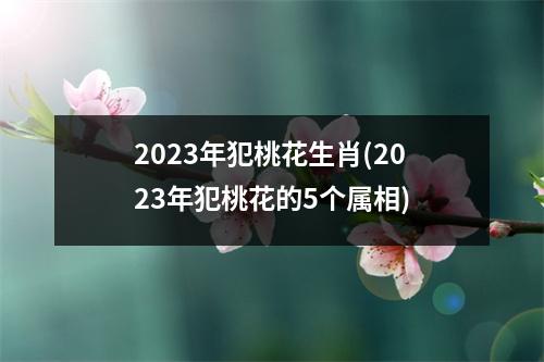 2023年犯桃花生肖(2023年犯桃花的5个属相)