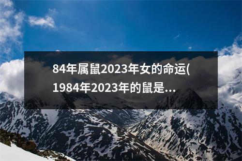 84年属鼠2023年女的命运(1984年2023年的鼠是百年难遇)