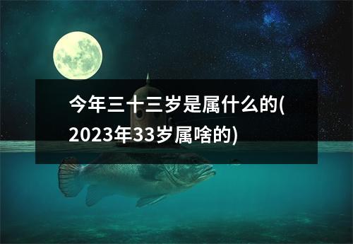 今年三十三岁是属什么的(2023年33岁属啥的)