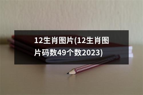 12生肖图片(12生肖图片码数49个数2023)