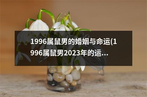 1996属鼠男的婚姻与命运(1996属鼠男2023年的运势和婚姻)