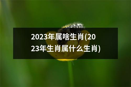 2023年属啥生肖(2023年生肖属什么生肖)