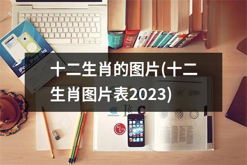 十二生肖的图片(十二生肖图片表2023)