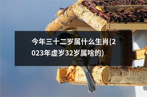 今年三十二岁属什么生肖(2023年虚岁32岁属啥的)