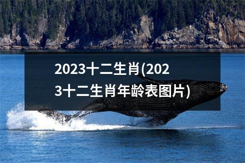 2023十二生肖(2023十二生肖年龄表图片)