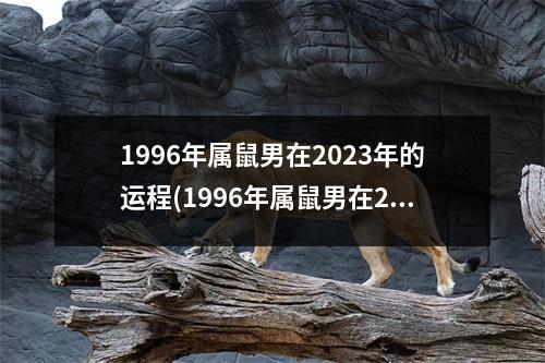 1996年属鼠男在2023年的运程(1996年属鼠男在2023年的运程佩戴什么好)