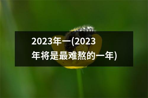 2023年一(2023年将是难熬的一年)