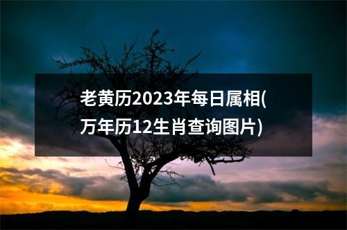 老黄历2023年每日属相(万年历12生肖查询图片)