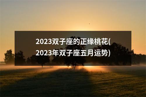 2023双子座的正缘桃花(2023年双子座五月运势)