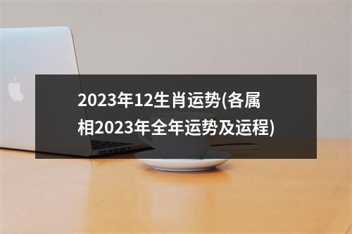 2023年12生肖运势(各属相2023年全年运势及运程)