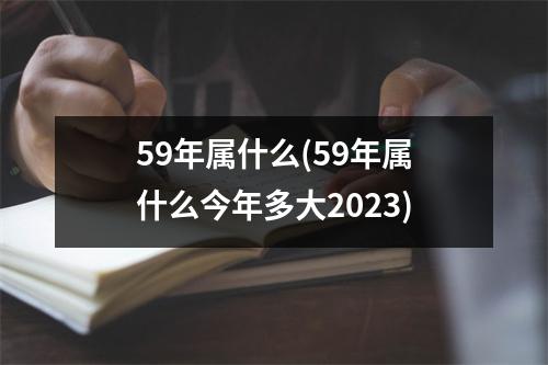 59年属什么(59年属什么今年多大2023)