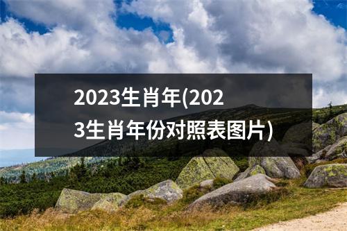 2023生肖年(2023生肖年份对照表图片)