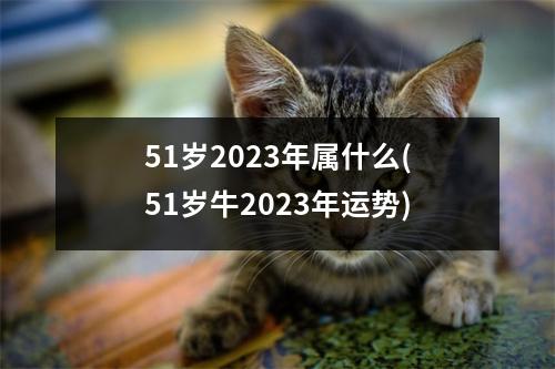 51岁2023年属什么(51岁牛2023年运势)