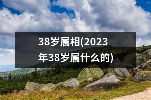 38岁属相(2023年38岁属什么的)