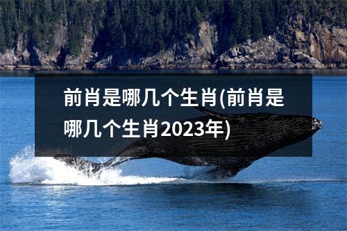 前肖是哪几个生肖(前肖是哪几个生肖2023年)