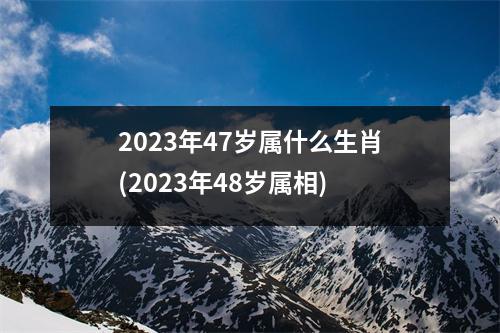 2023年47岁属什么生肖(2023年48岁属相)