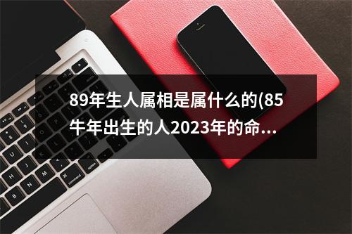 89年生人属相是属什么的(85牛年出生的人2023年的命运男)