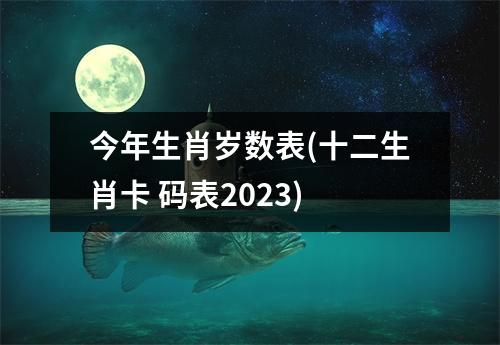 今年生肖岁数表(十二生肖卡 码表2023)