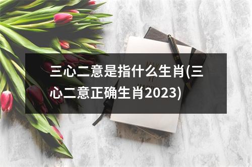 三心二意是指什么生肖(三心二意正确生肖2023)