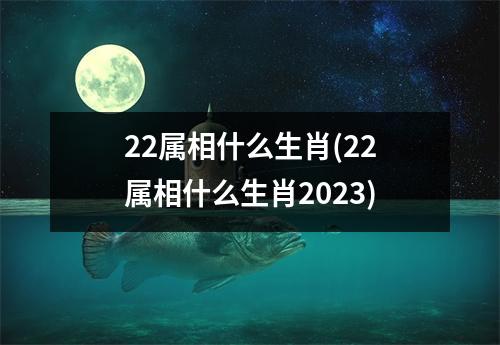 22属相什么生肖(22属相什么生肖2023)