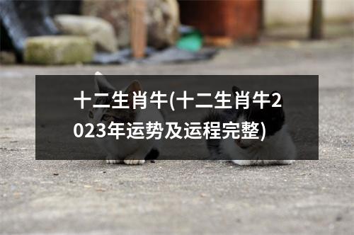 十二生肖牛(十二生肖牛2023年运势及运程完整)