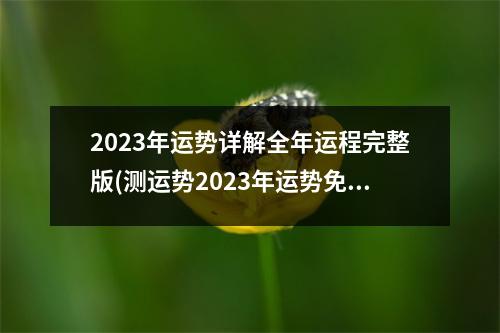 2023年运势详解全年运程完整版(测运势2023年运势免费周易)