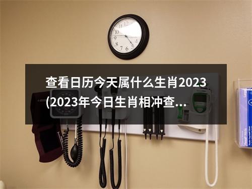 查看日历今天属什么生肖2023(2023年今日生肖相冲查询吉凶)