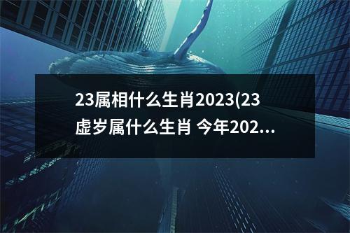 23属相什么生肖2023(23虚岁属什么生肖 今年2023)