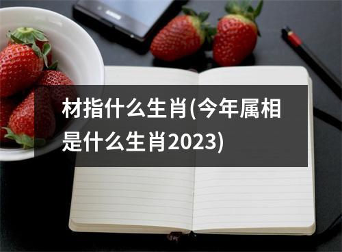 材指什么生肖(今年属相是什么生肖2023)