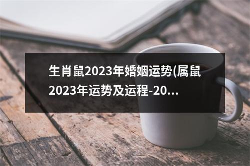 生肖鼠2023年婚姻运势(属鼠2023年运势及运程-2023年属鼠人的全年每月运势)