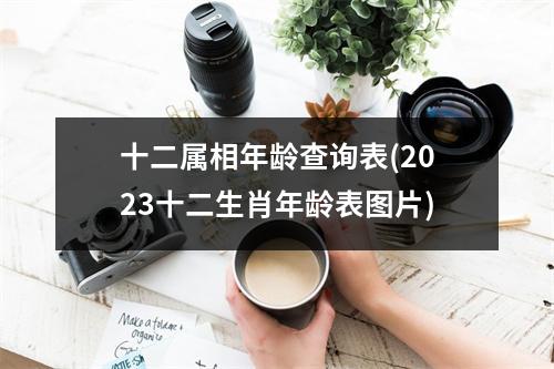 十二属相年龄查询表(2023十二生肖年龄表图片)