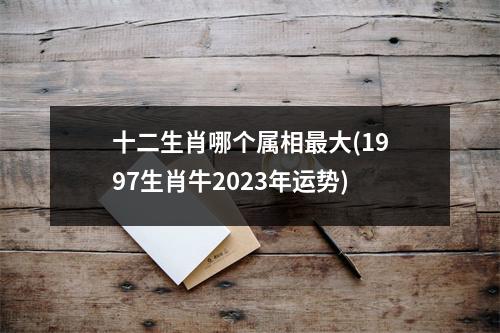 十二生肖哪个属相大(1997生肖牛2023年运势)