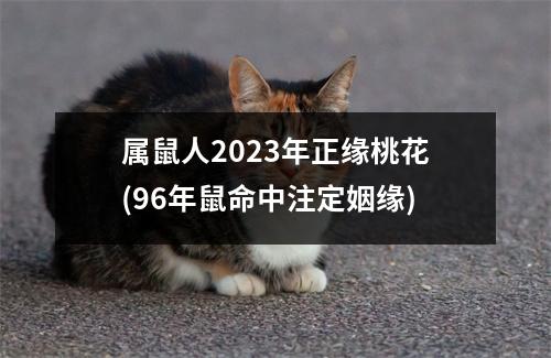 属鼠人2023年正缘桃花(96年鼠命中注定姻缘)