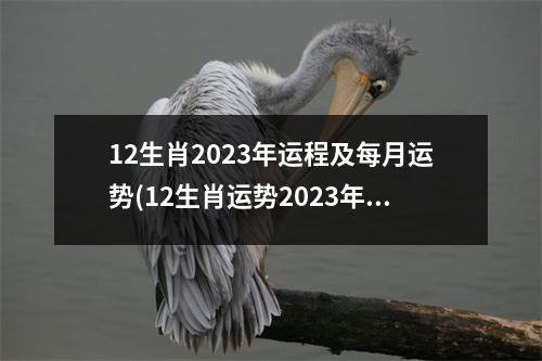 12生肖2023年运程及每月运势(12生肖运势2023年每月运势详解势详解)