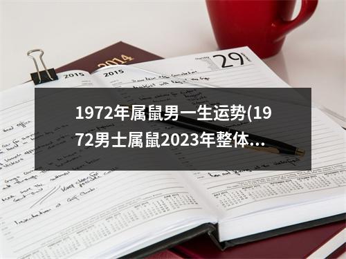 1972年属鼠男一生运势(1972男士属鼠2023年整体财运)