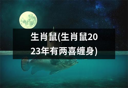 生肖鼠(生肖鼠2023年有两喜缠身)