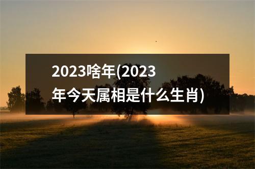 2023啥年(2023年今天属相是什么生肖)