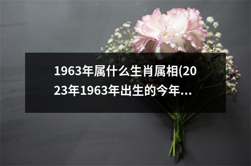 1963年属什么生肖属相(2023年1963年出生的今年多大)