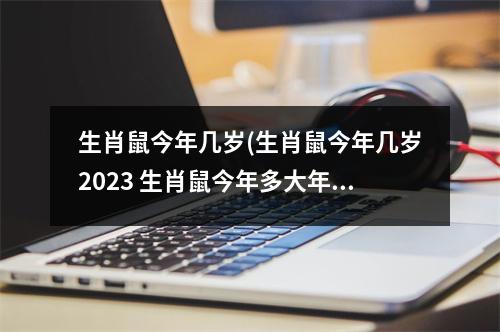 生肖鼠今年几岁(生肖鼠今年几岁2023 生肖鼠今年多大年龄2023)